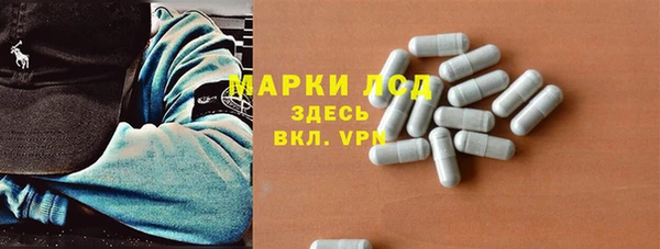 крисы Абаза