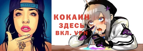 крисы Абаза
