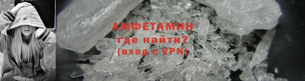 крисы Абаза