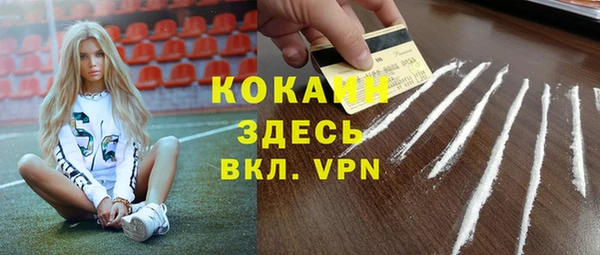 крисы Абаза