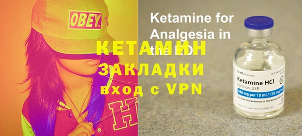 крисы Абаза