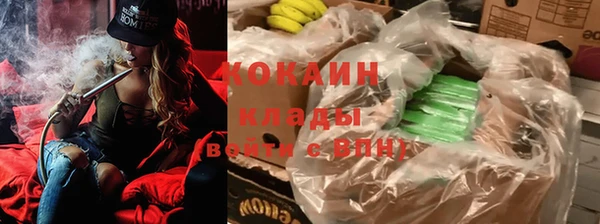 крисы Абаза