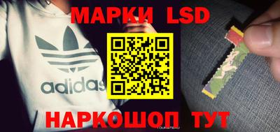 сатива Новозыбков