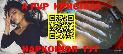 СК Новодвинск