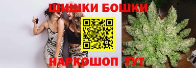 сатива Новозыбков