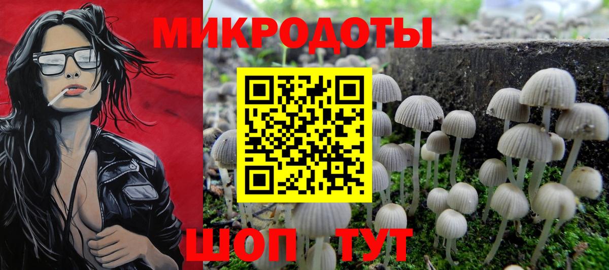 Галлюциногенные грибы Magic Shrooms Таганрог