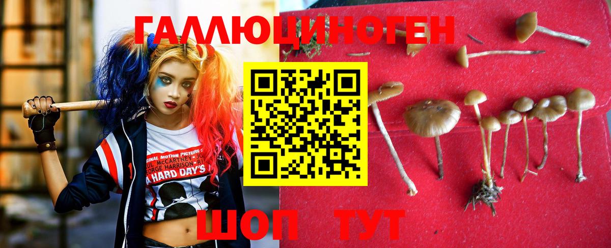 Таганрог  Псилоцибиновые грибы Magic Shrooms  Псилоцибиновые грибы MAGIC MUSHROOMS  Вход с VPN 